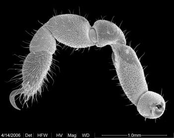 Media type: image;   Invertebrate Zoology 133769
